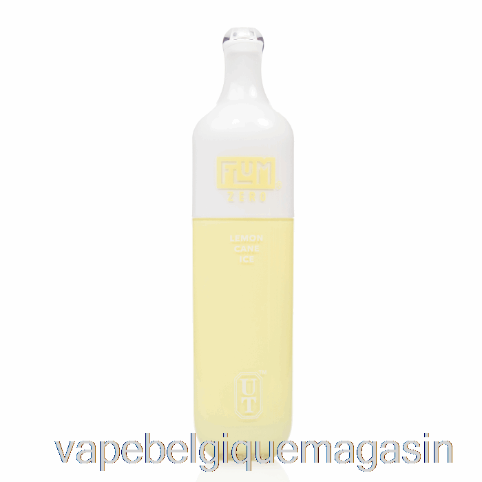 Vape Juice Flum Float 0% Zéro Nicotine 3000 Glace De Canne Au Citron Jetable